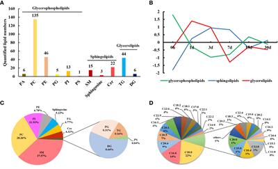 Lipidomic insights into the immune response and pearl formation in transplanted pearl oyster Pinctada fucata martensii